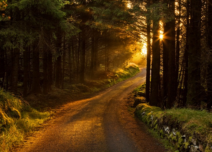 inspiration-0517